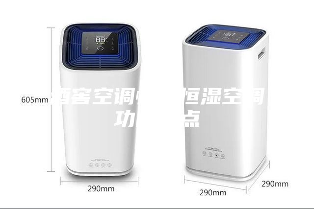 酒窖空調(diào)恒溫恒濕空調(diào)功能特點(diǎn)