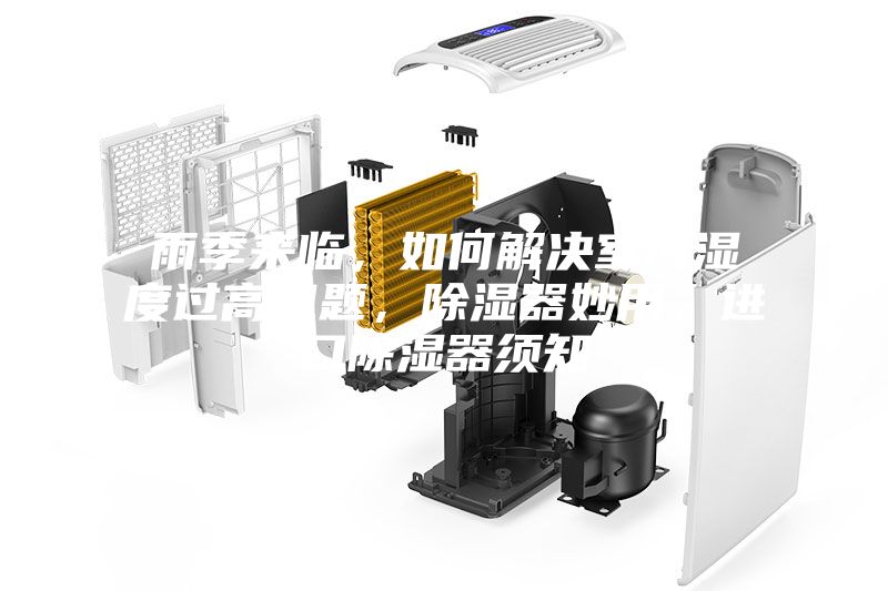 雨季來臨，如何解決室內(nèi)濕度過高問題，除濕器妙用，進口除濕器須知