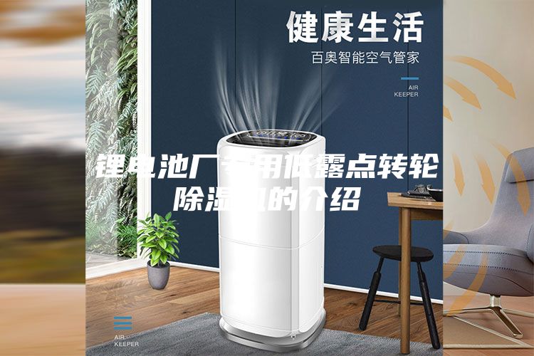 鋰電池廠專用低露點轉(zhuǎn)輪除濕機(jī)的介紹