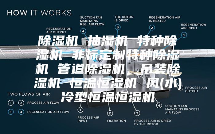 除濕機(jī) 抽濕機(jī) 特種除濕機(jī) 非標(biāo)定制特種除濕機(jī) 管道除濕機(jī)、吊裝除濕機(jī) 恒溫恒濕機(jī) 風(fēng)(水)冷型恒溫恒濕機(jī)