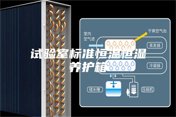 試驗室標(biāo)準(zhǔn)恒溫恒濕養(yǎng)護箱