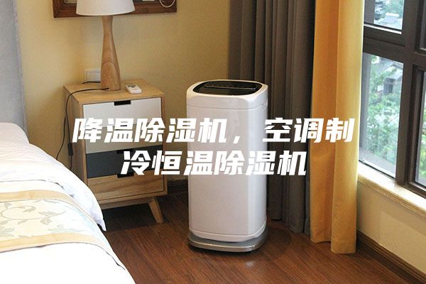 降溫除濕機(jī)，空調(diào)制冷恒溫除濕機(jī)