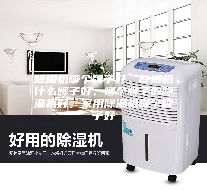 除濕機(jī)哪個(gè)牌子好，除濕機(jī)什么牌子好，哪個(gè)牌子的除濕機(jī)好，家用除濕機(jī)哪個(gè)牌子好