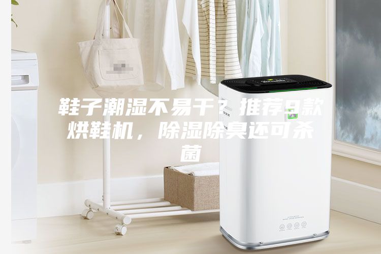 鞋子潮濕不易干？推薦9款烘鞋機(jī)，除濕除臭還可殺菌