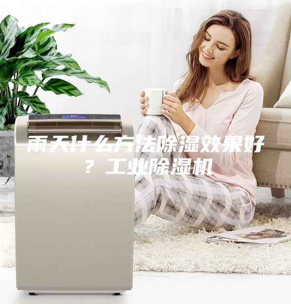雨天什么方法除濕效果好？工業(yè)除濕機(jī)