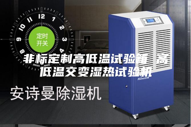 非標(biāo)定制高低溫試驗箱 高低溫交變濕熱試驗機(jī)
