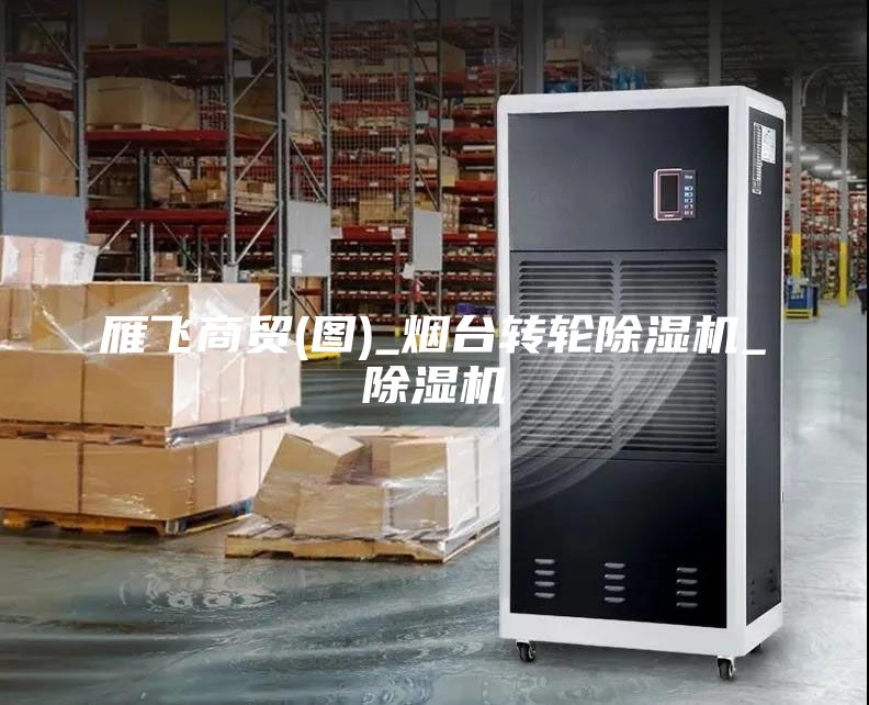 雁飛商貿(mào)(圖)_煙臺轉(zhuǎn)輪除濕機_除濕機