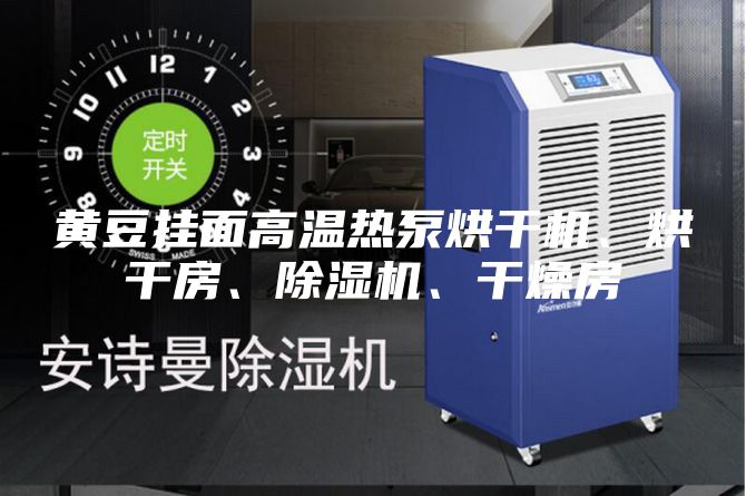 黃豆掛面高溫熱泵烘干機、烘干房、除濕機、干燥房