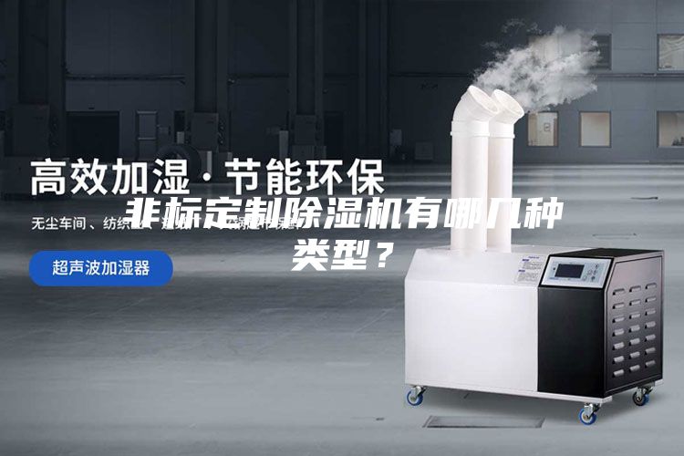 非標(biāo)定制除濕機(jī)有哪幾種類型？