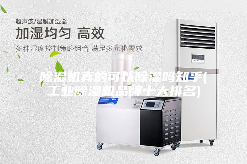 除濕機真的可以除濕嗎知乎(工業(yè)除濕機品牌十大排名)
