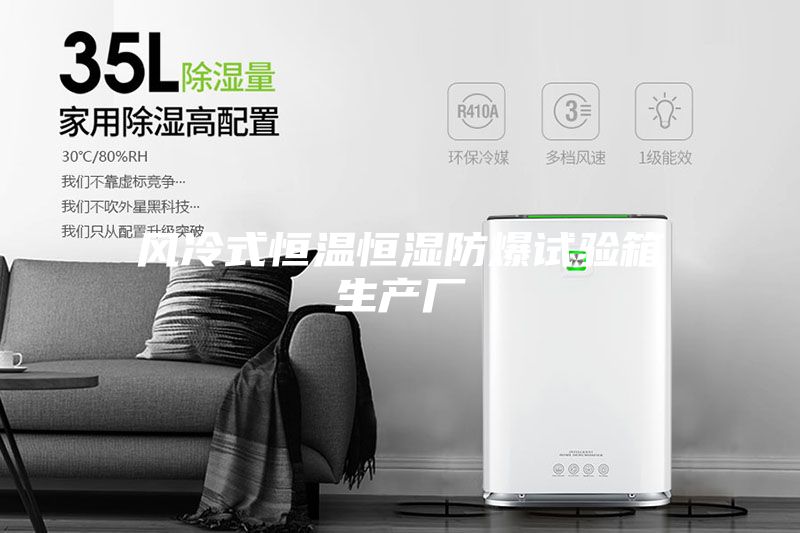 風冷式恒溫恒濕防爆試驗箱生產(chǎn)廠