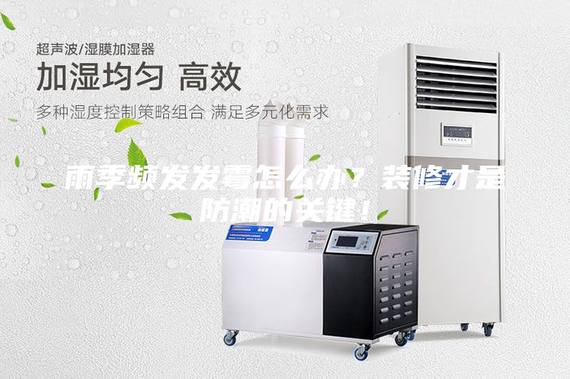 雨季頻發(fā)發(fā)霉怎么辦？裝修才是防潮的關(guān)鍵！