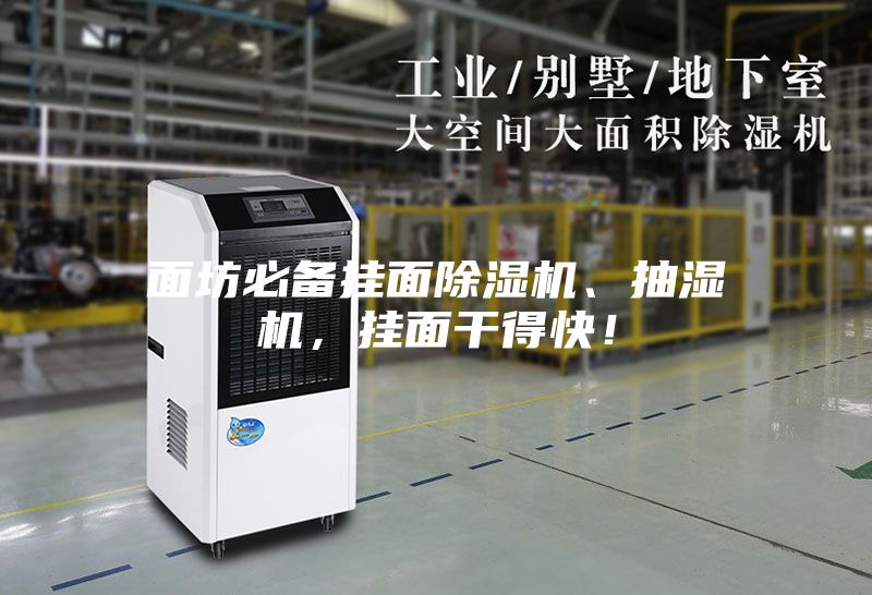 面坊必備掛面除濕機(jī)、抽濕機(jī)，掛面干得快！