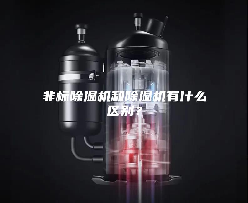 非標(biāo)除濕機(jī)和除濕機(jī)有什么區(qū)別？