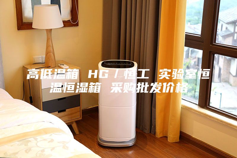 高低溫箱 HG／恒工 實驗室恒溫恒濕箱 采購批發(fā)價格