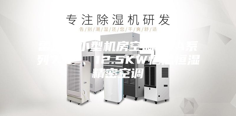 雷迪司小型機房空調(diào)LSA系列7.5 、12.5KW恒溫恒濕精密空調(diào)