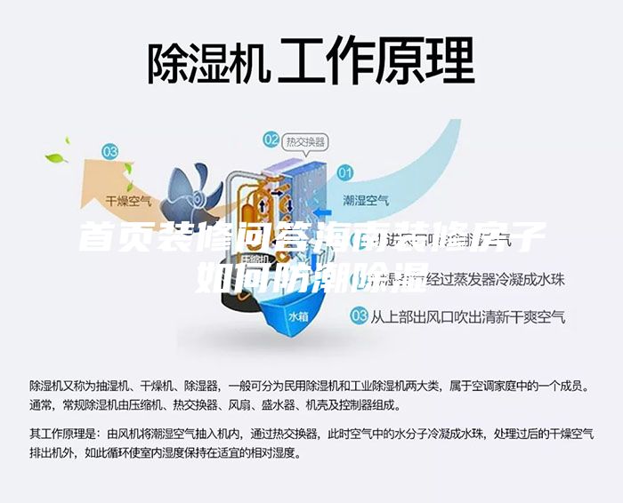 首頁(yè)裝修問(wèn)答海南裝修房子如何防潮除濕