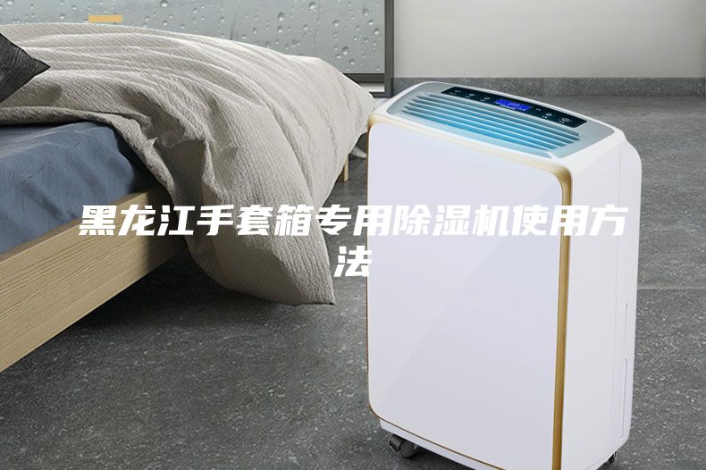 黑龍江手套箱專用除濕機(jī)使用方法