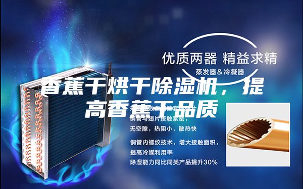 香蕉干烘干除濕機，提高香蕉干品質(zhì)