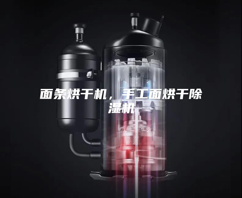 面條烘干機(jī)，手工面烘干除濕機(jī)