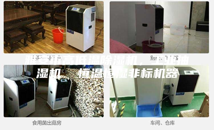 雅安市高低溫除濕機，工業(yè)抽濕機  恒溫恒濕非標機器