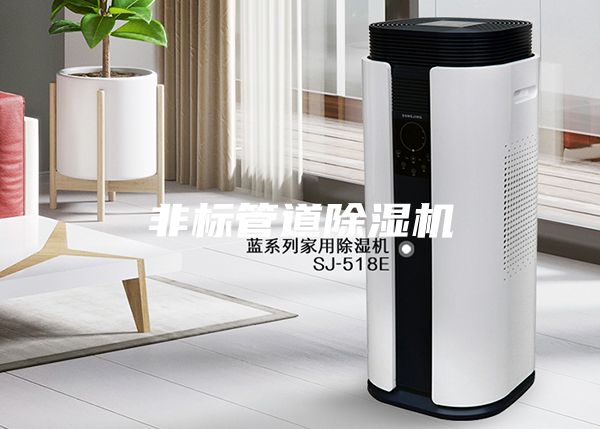 非標(biāo)管道除濕機(jī)