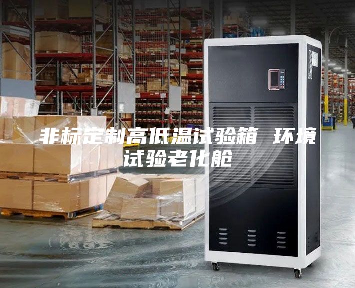 非標定制高低溫試驗箱 環(huán)境試驗老化艙