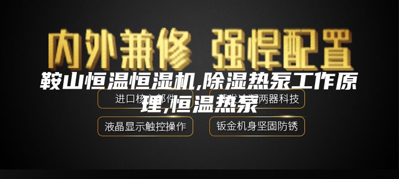 鞍山恒溫恒濕機,除濕熱泵工作原理,恒溫?zé)岜?/></p>
                            <p style=