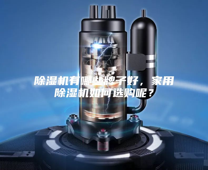 除濕機有哪些牌子好，家用除濕機如何選購呢？