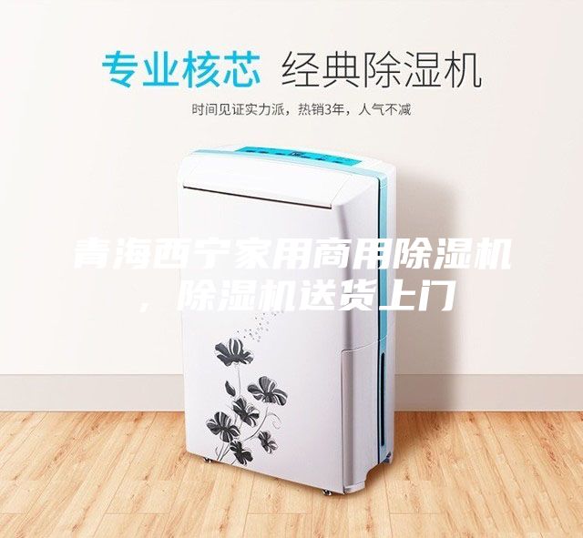 青海西寧家用商用除濕機，除濕機送貨上門