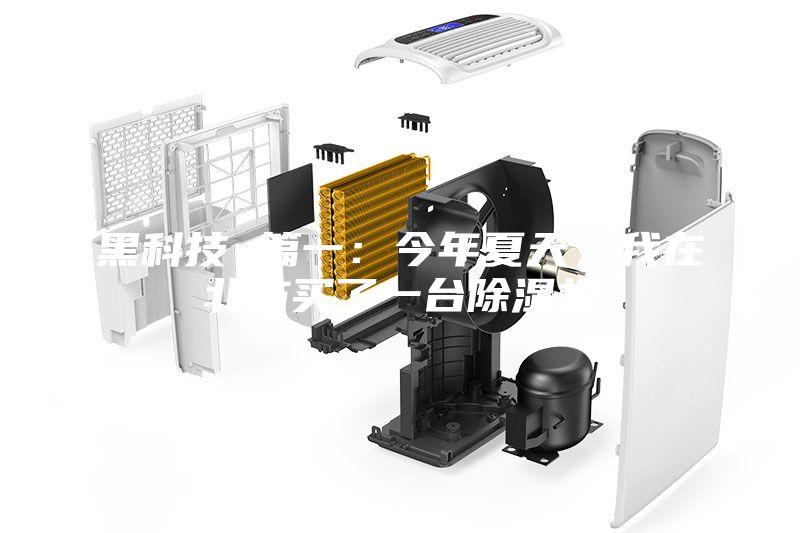 黑科技 篇一：今年夏天，我在北方買了一臺除濕機(jī)