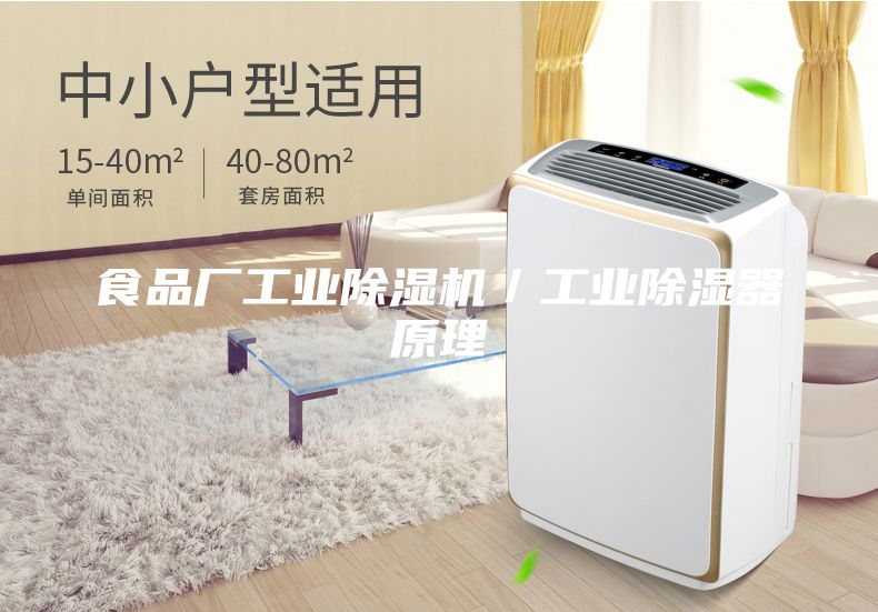 食品廠工業(yè)除濕機／工業(yè)除濕器原理