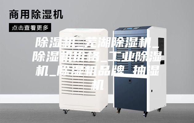 除濕機_蕪湖除濕機_除濕機價格_工業(yè)除濕機_除濕機品牌_抽濕機