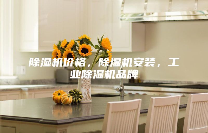 除濕機價格，除濕機安裝，工業(yè)除濕機品牌