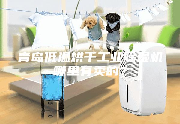 青島低溫烘干工業(yè)除濕機哪里有賣的？