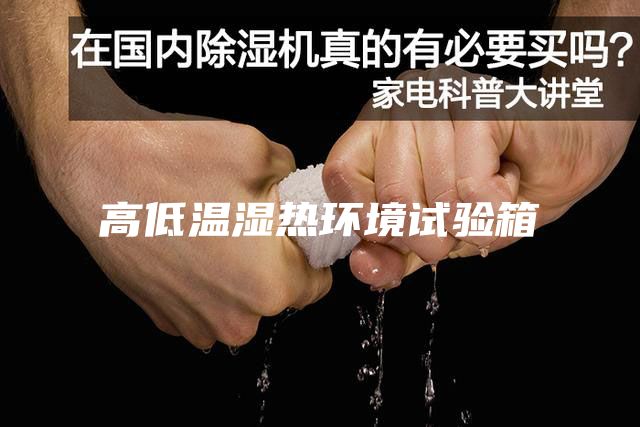 高低溫濕熱環(huán)境試驗箱