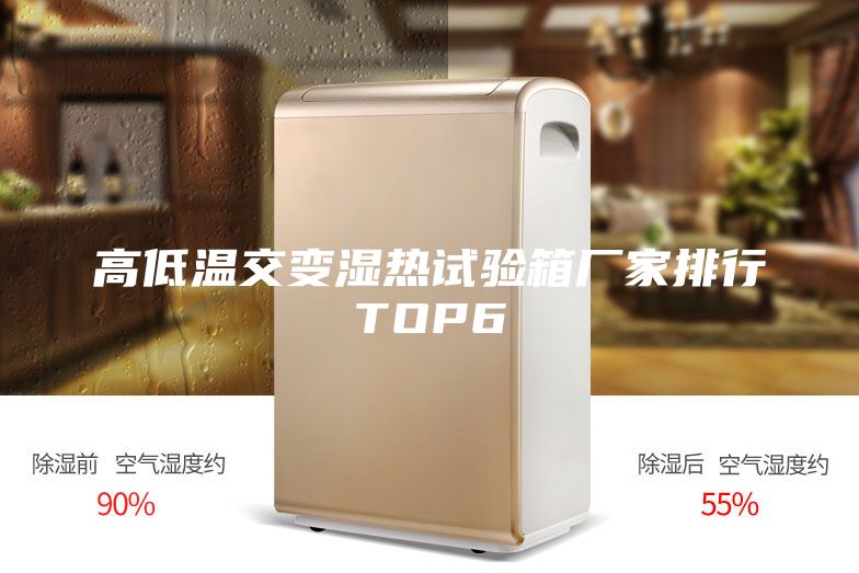 高低溫交變濕熱試驗(yàn)箱廠家排行TOP6