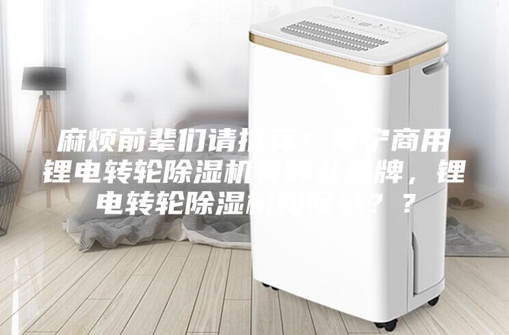 麻煩前輩們請(qǐng)推薦！南寧商用鋰電轉(zhuǎn)輪除濕機(jī)有哪些品牌，鋰電轉(zhuǎn)輪除濕機(jī)如何選？？
