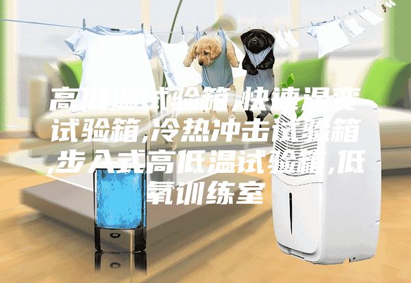 高低溫試驗(yàn)箱,快速溫變試驗(yàn)箱,冷熱沖擊試驗(yàn)箱,步入式高低溫試驗(yàn)箱,低氧訓(xùn)練室