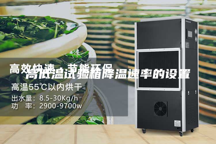 高低溫試驗(yàn)箱降溫速率的設(shè)置