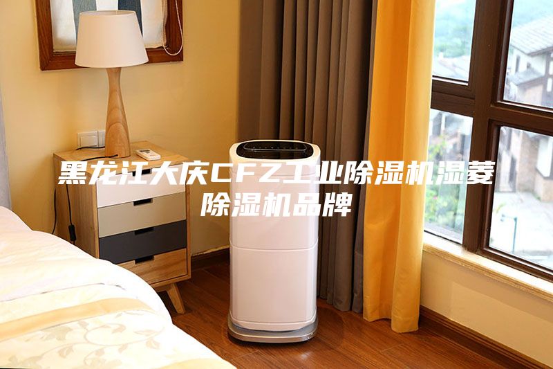 黑龍江大慶CFZ工業(yè)除濕機濕菱除濕機品牌