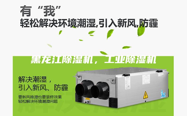 黑龍江除濕機，工業(yè)除濕機